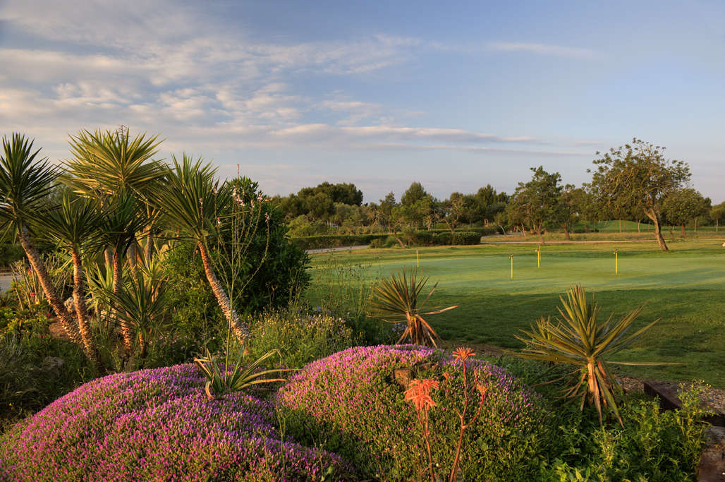 Golf course Golf Son Antem West 107