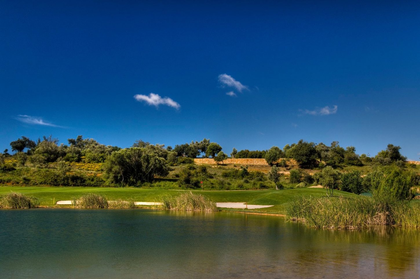 Golf course Pestana Alto Golf 5642