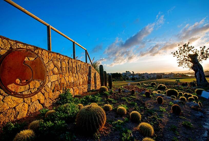 Golfplatz Golf Son Quint 4887