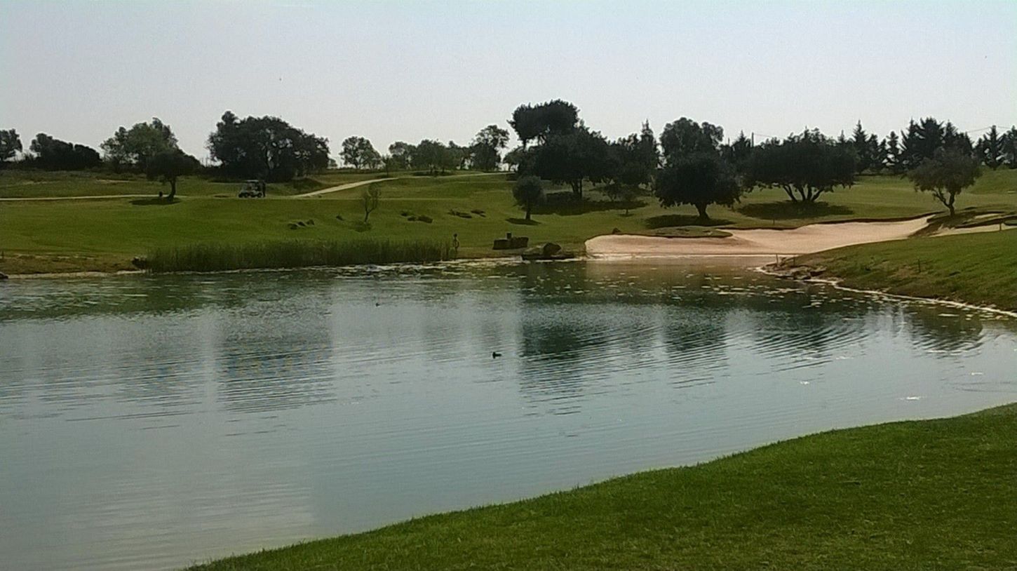 Golf course Pestana Vila Sol 5657