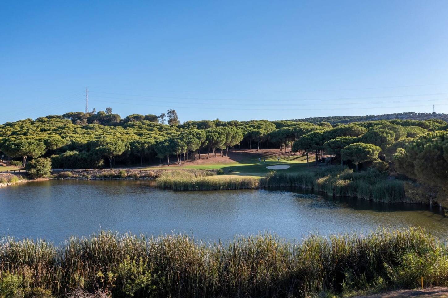 Golf course The Alto Club 3764