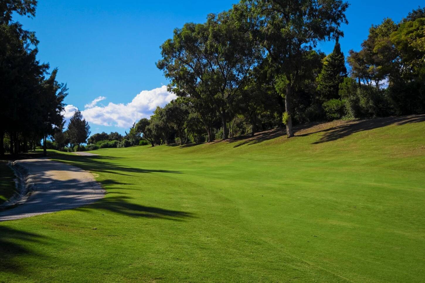 Golf course The Alto Club 3765