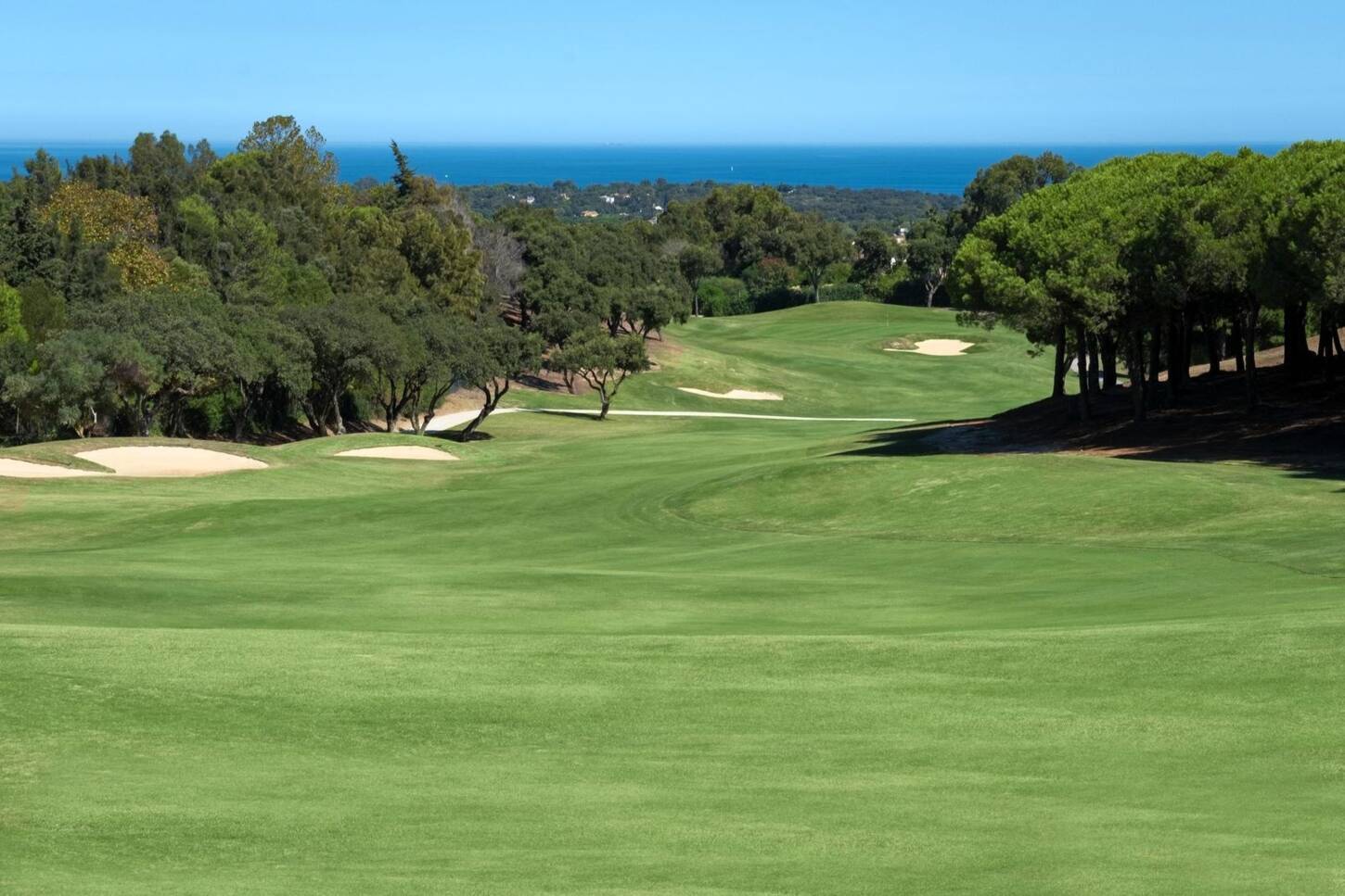 Golf course The Alto Club 3766