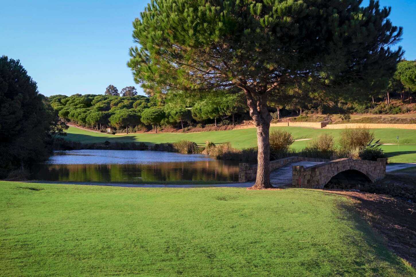 Golf course The Alto Club 3767