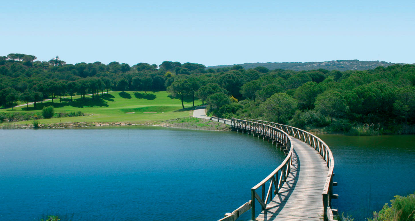 Golf course The Alto Club 880