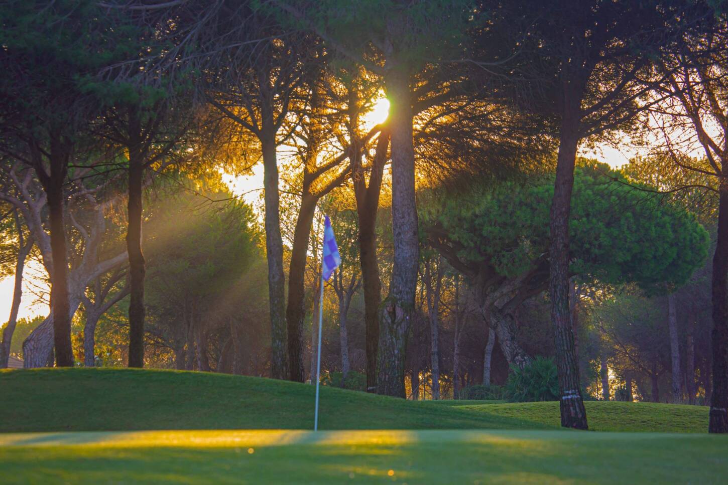 Golf course Club de Golf Bellavista 3773