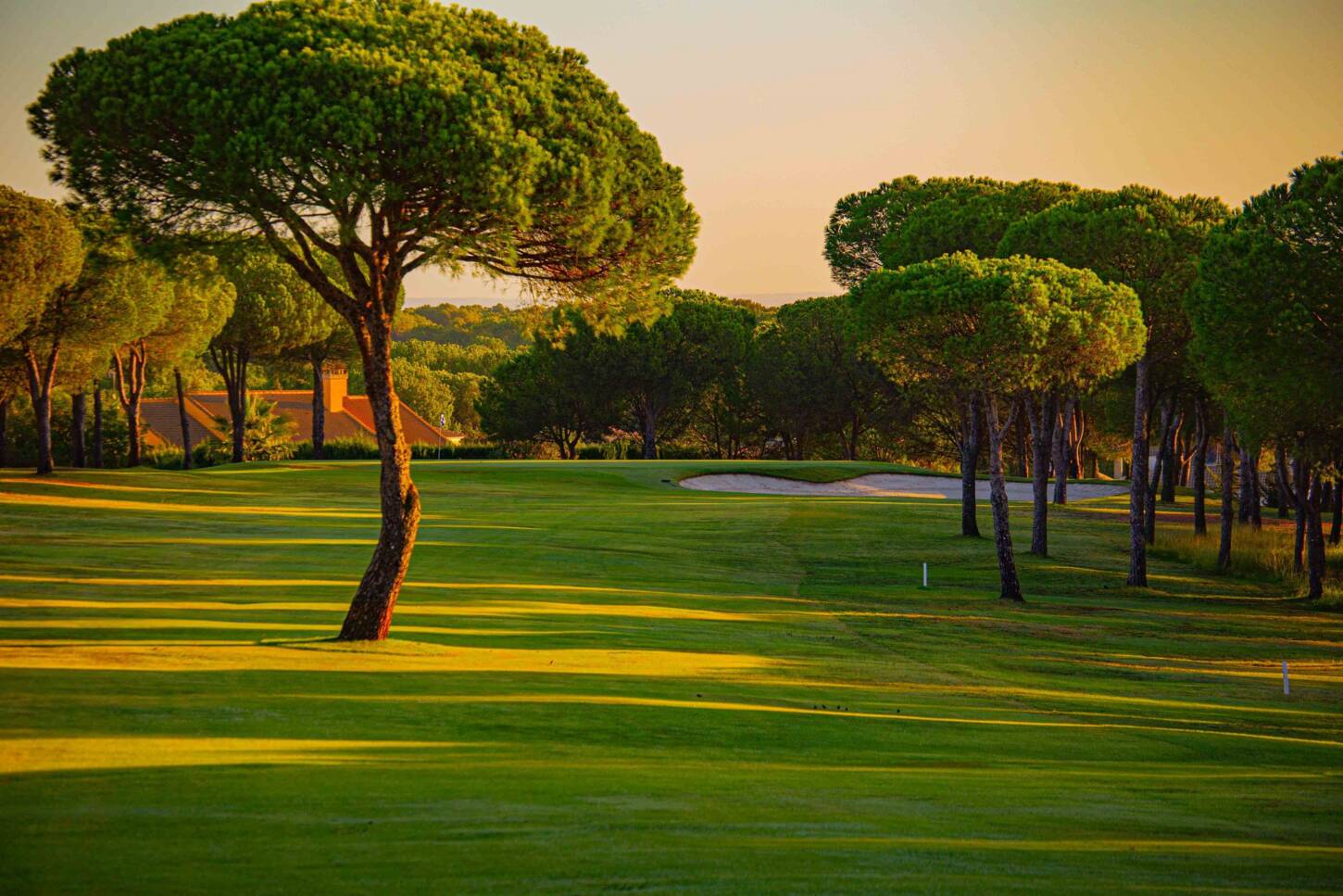 Golf course Club de Golf Bellavista 3774