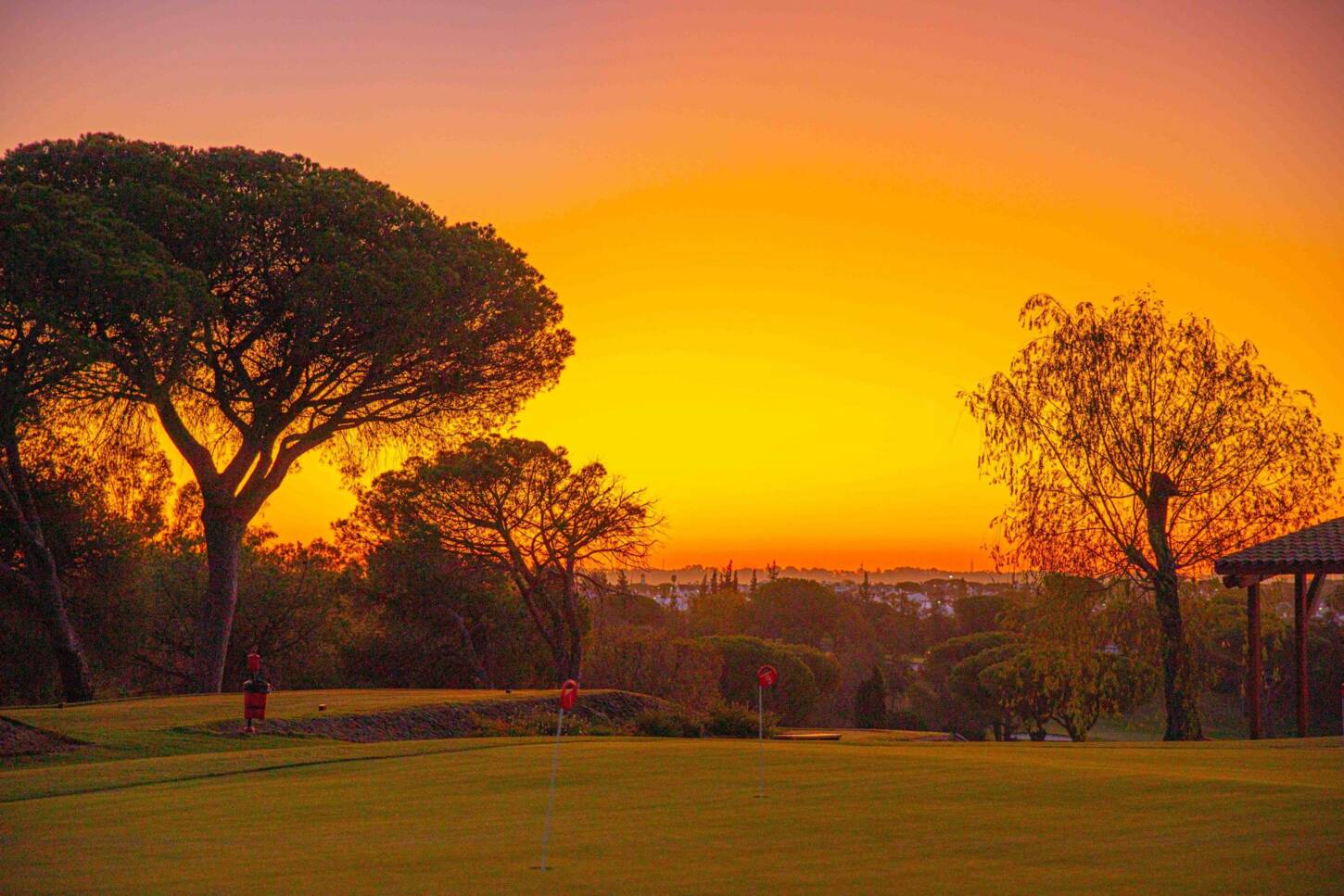 Golf course Club de Golf Bellavista 3778