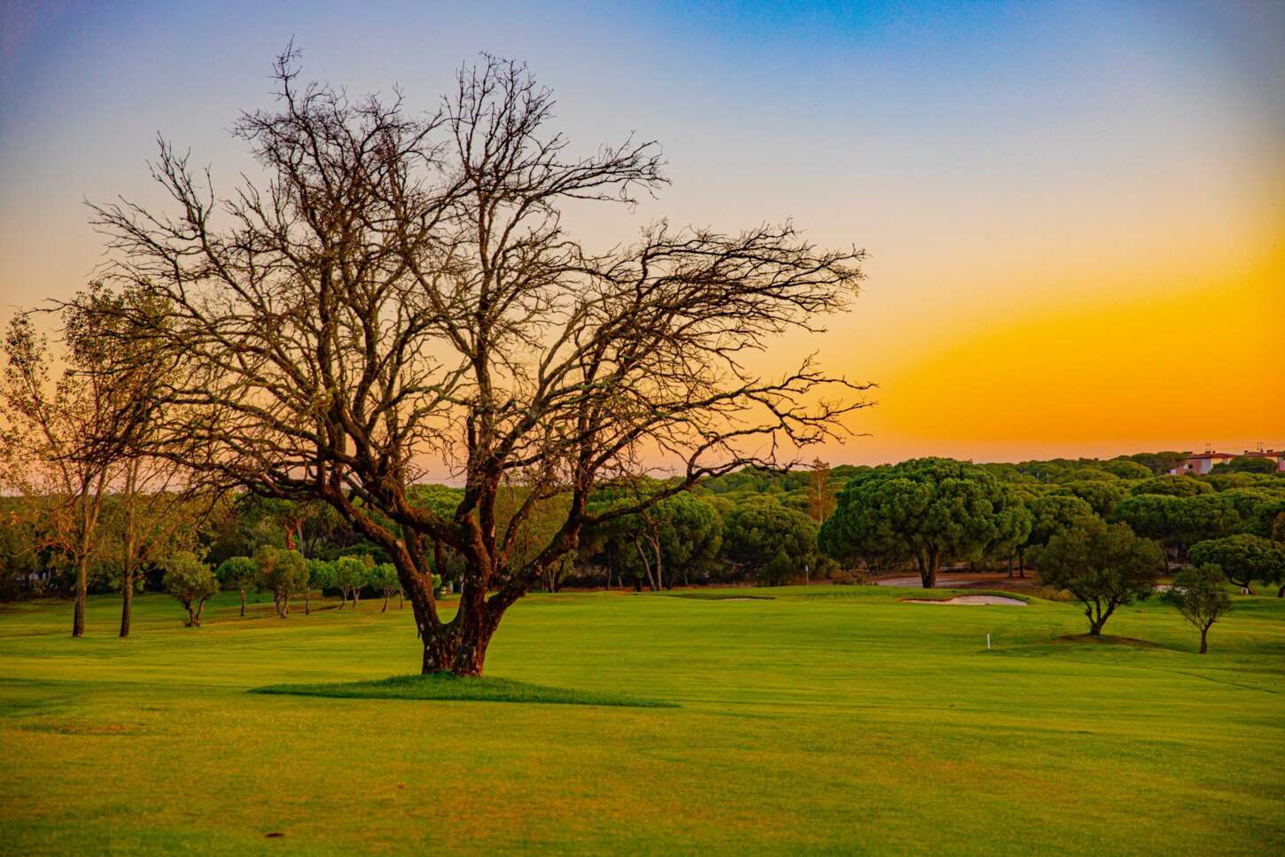 Golf course Club de Golf Bellavista 3779