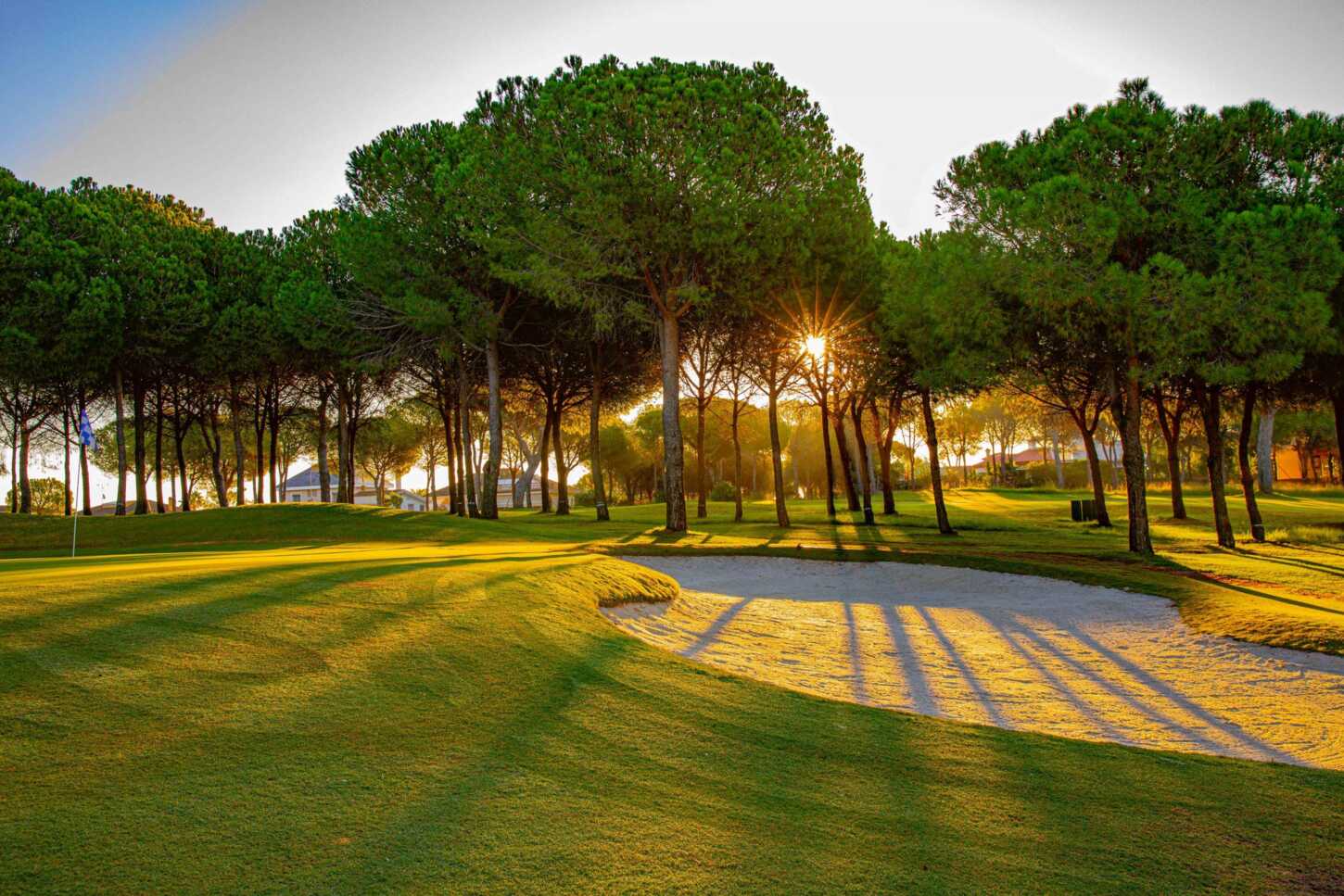 Golf course Club de Golf Bellavista 3780