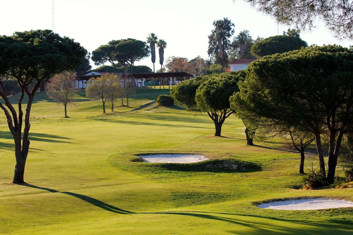Golf course Club de Golf Bellavista 3782