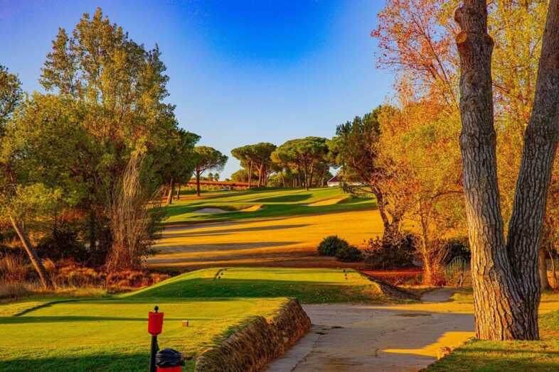 Golf course Club de Golf Bellavista 3772