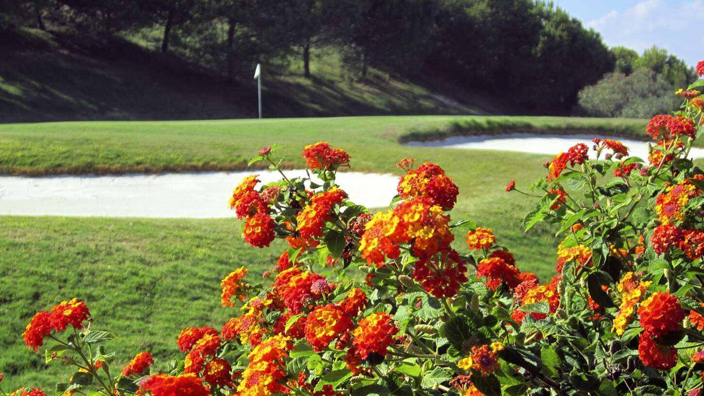 Golfplatz Doña Julia Golf Club 3785