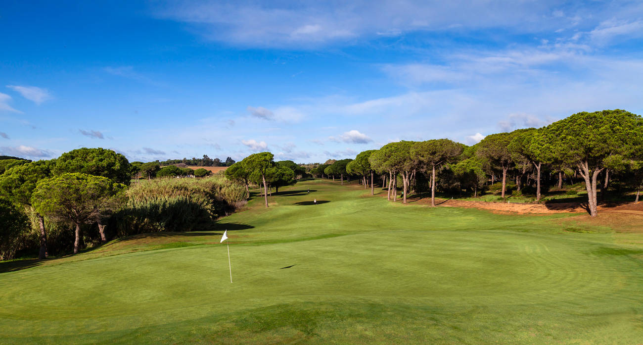 Golf course La Monacilla Golf Club 1024