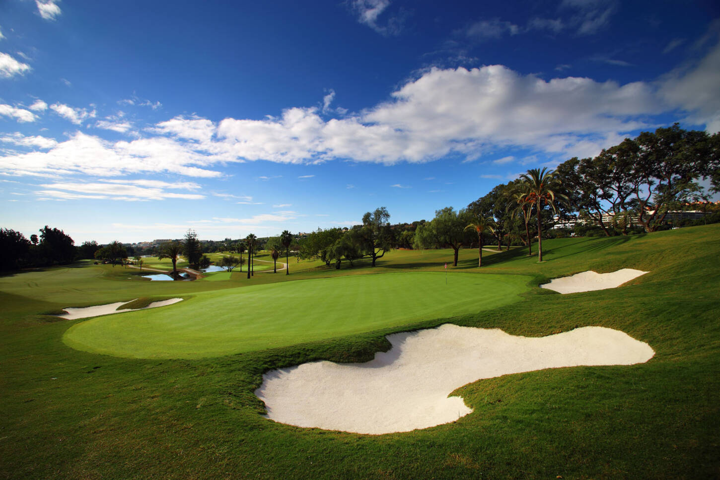 Golf course Real Club de Golf Las Brisas 4223