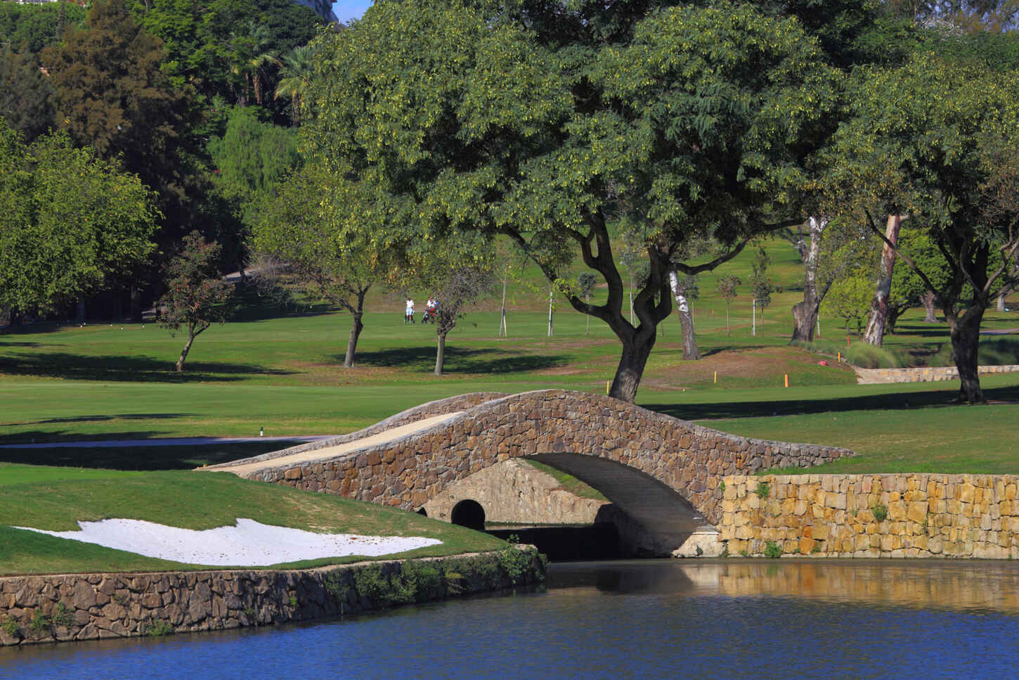 Golf course Real Club de Golf Las Brisas 4226