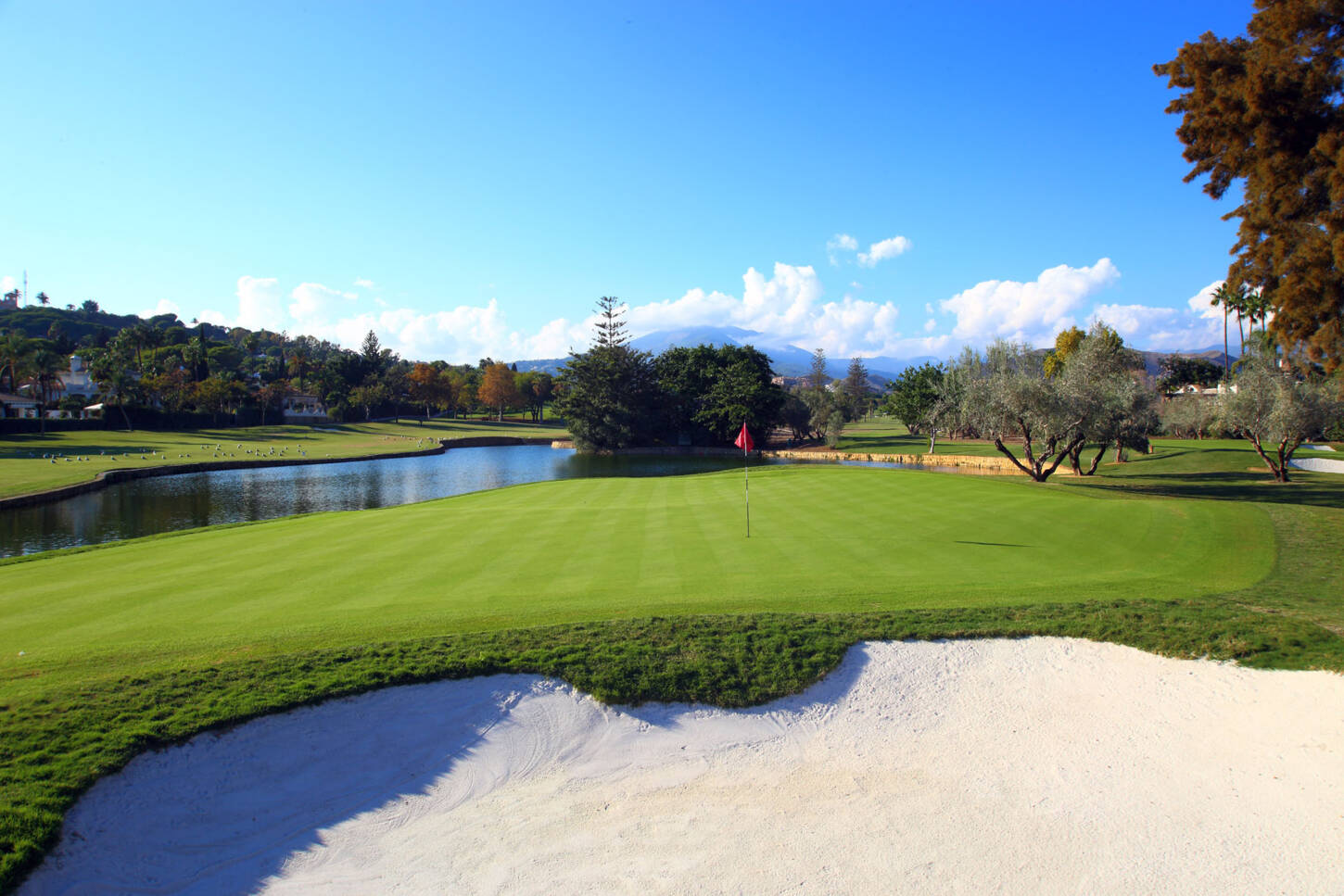 Golf course Real Club de Golf Las Brisas 4238