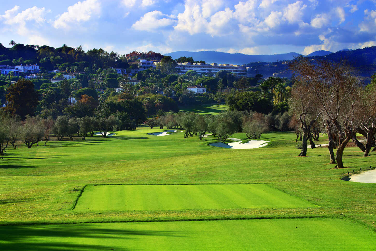 Golf course Real Club de Golf Las Brisas 4239