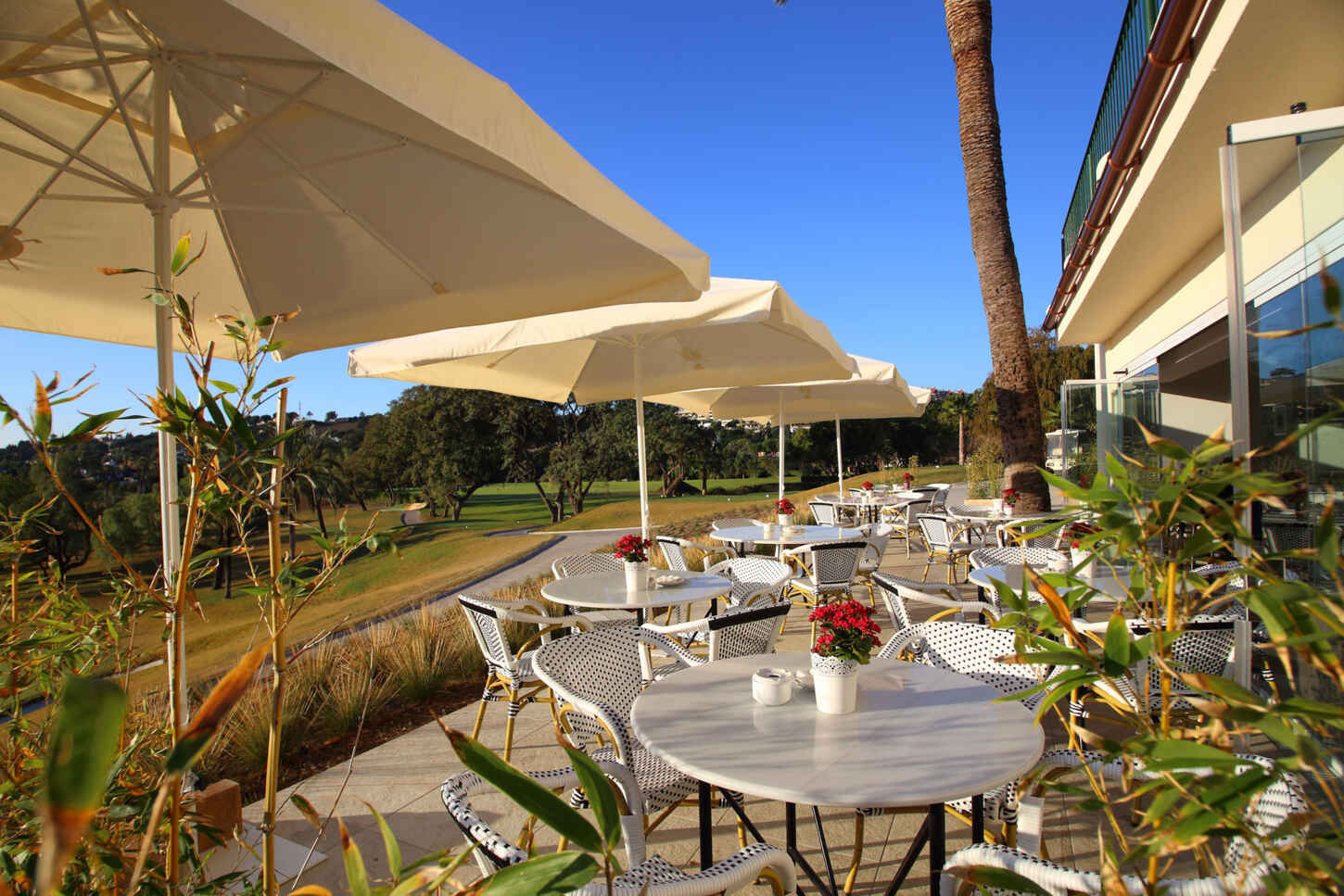 Golf course Real Club de Golf Las Brisas 4246