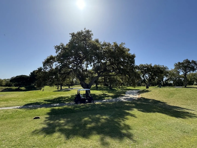 Golfplatzansicht
