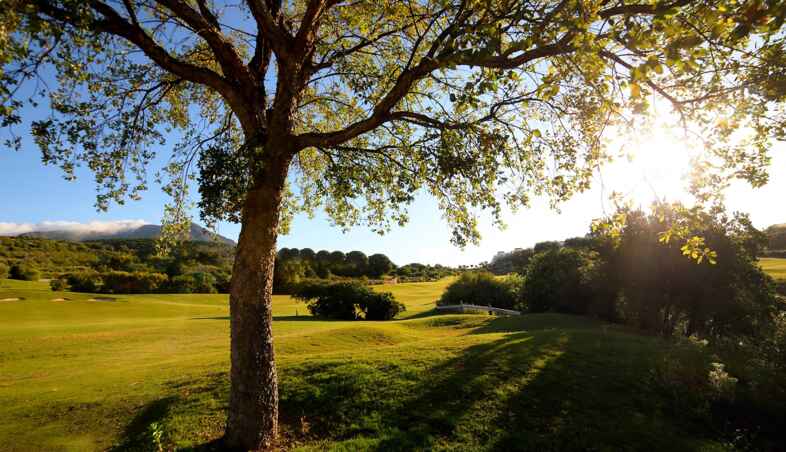 Golf course Valle Romano Golf & Resort 3203
