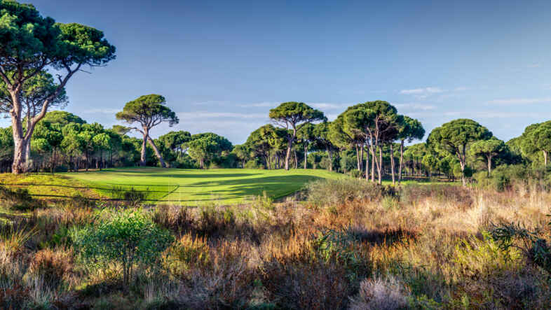 Golf course Cornelia Faldo Golf 3076
