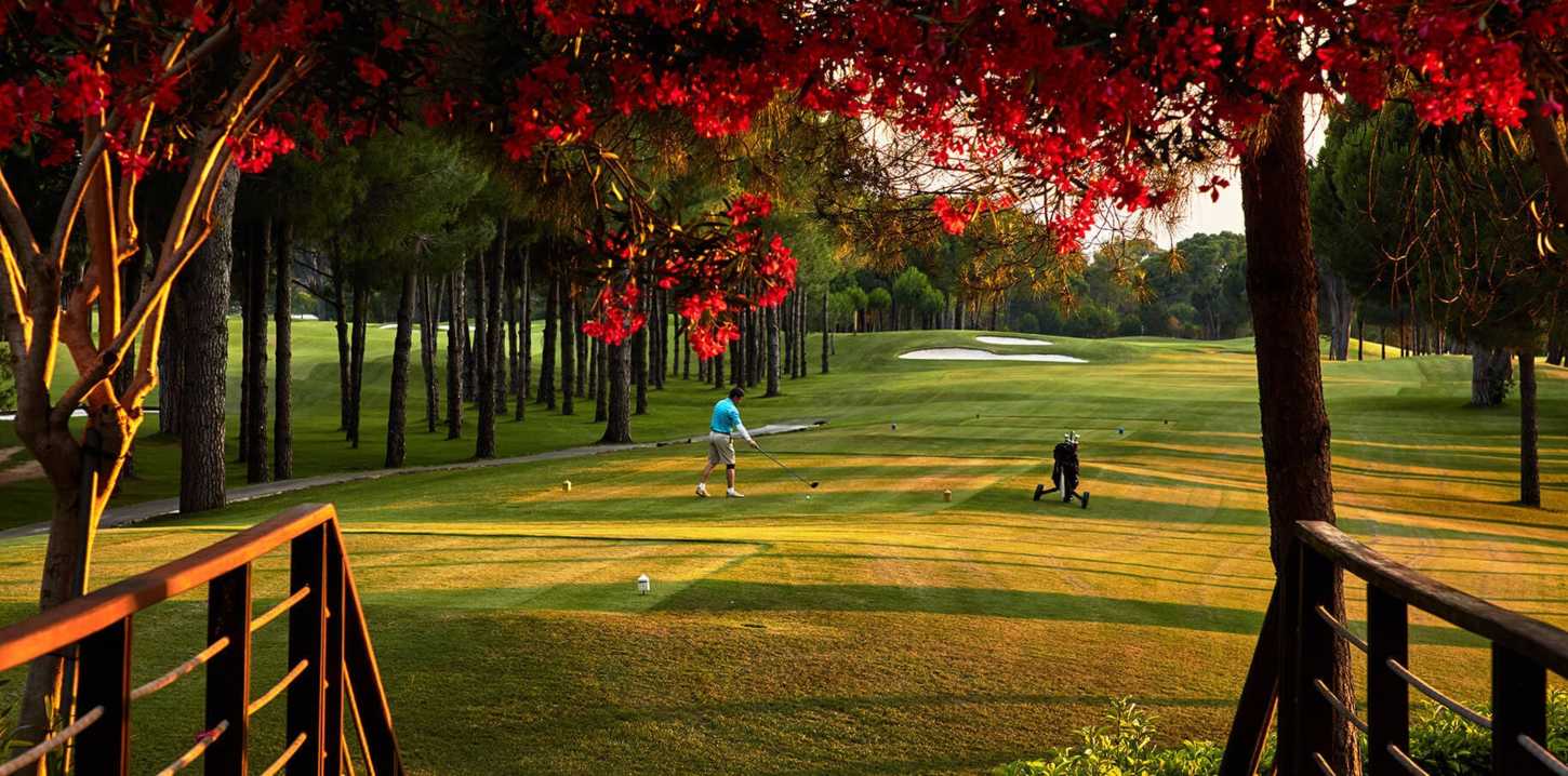 Golf course Gloria The New Course 3088