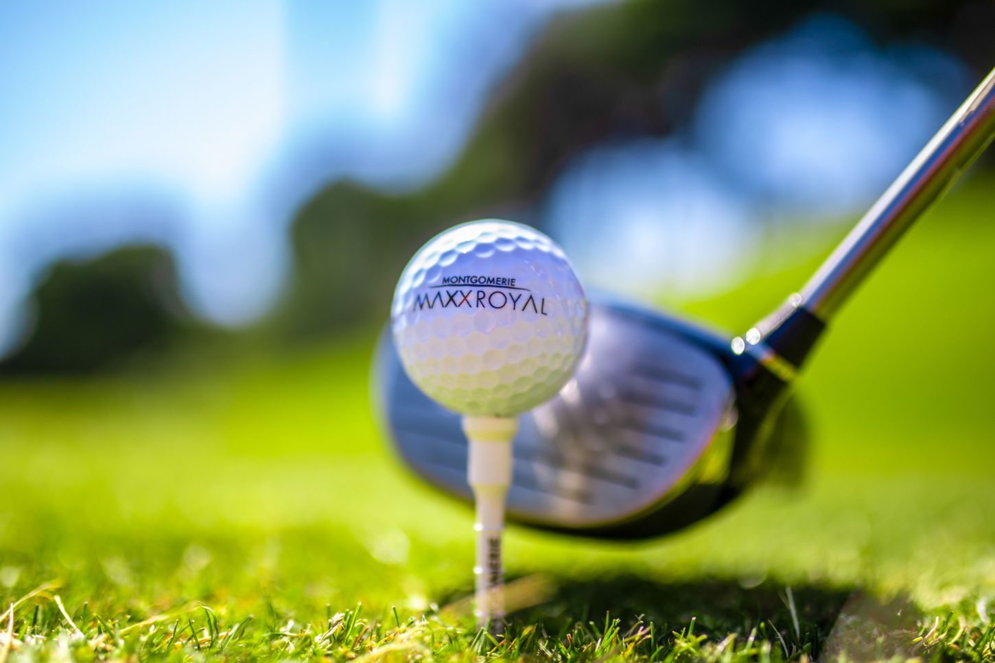 Golf course Montgomerie Maxx Royal 3132