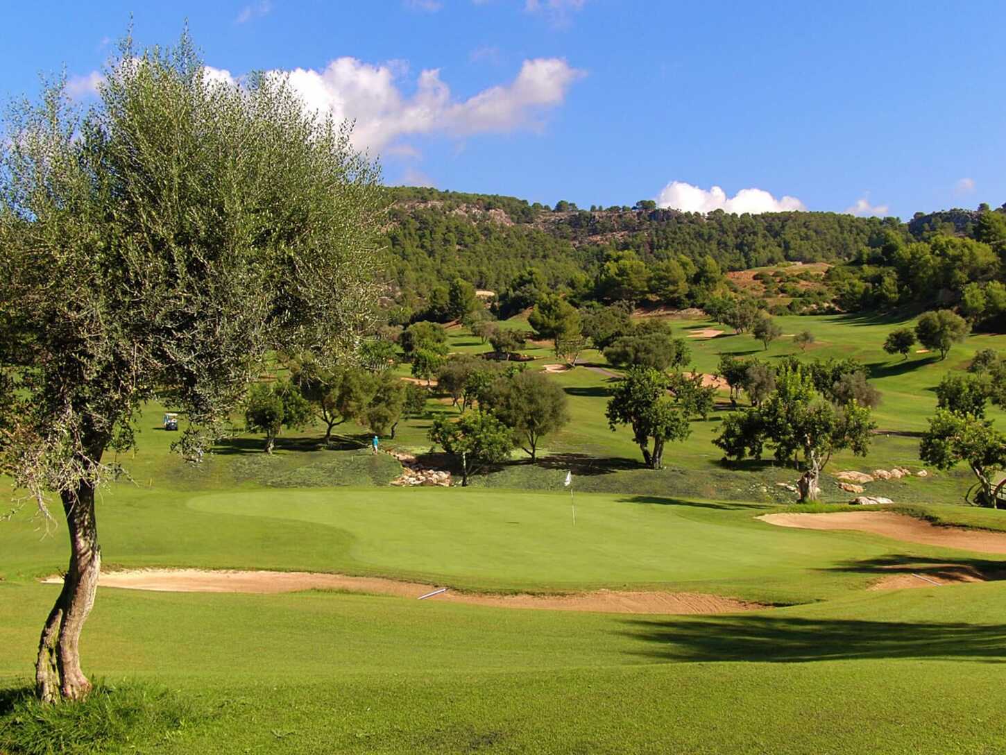 Golfplatz Son Termes Golf 5100