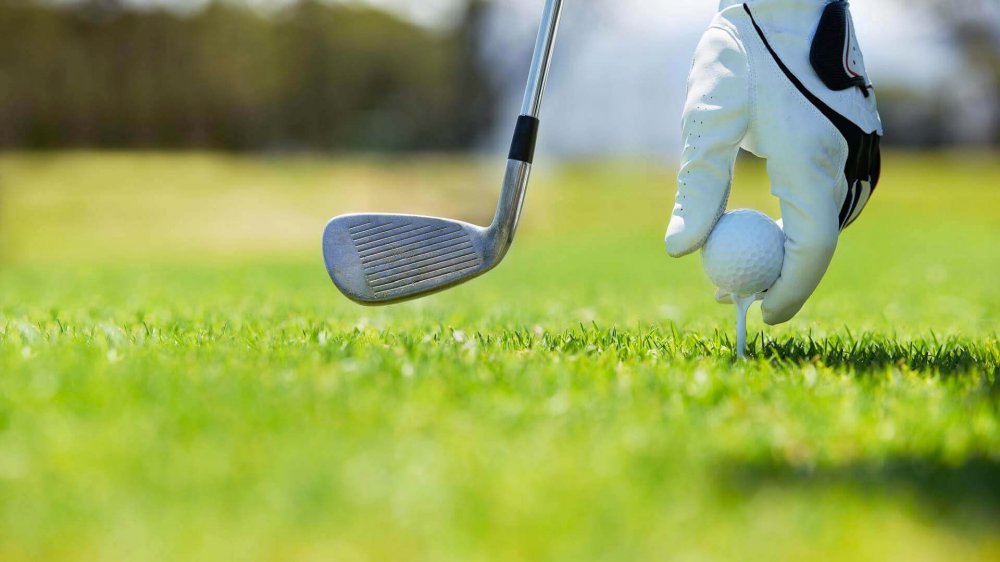 Golf course Arzaga Golf  3872