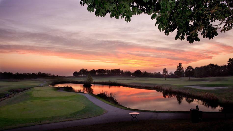 Golf course Arzaga Golf  1481