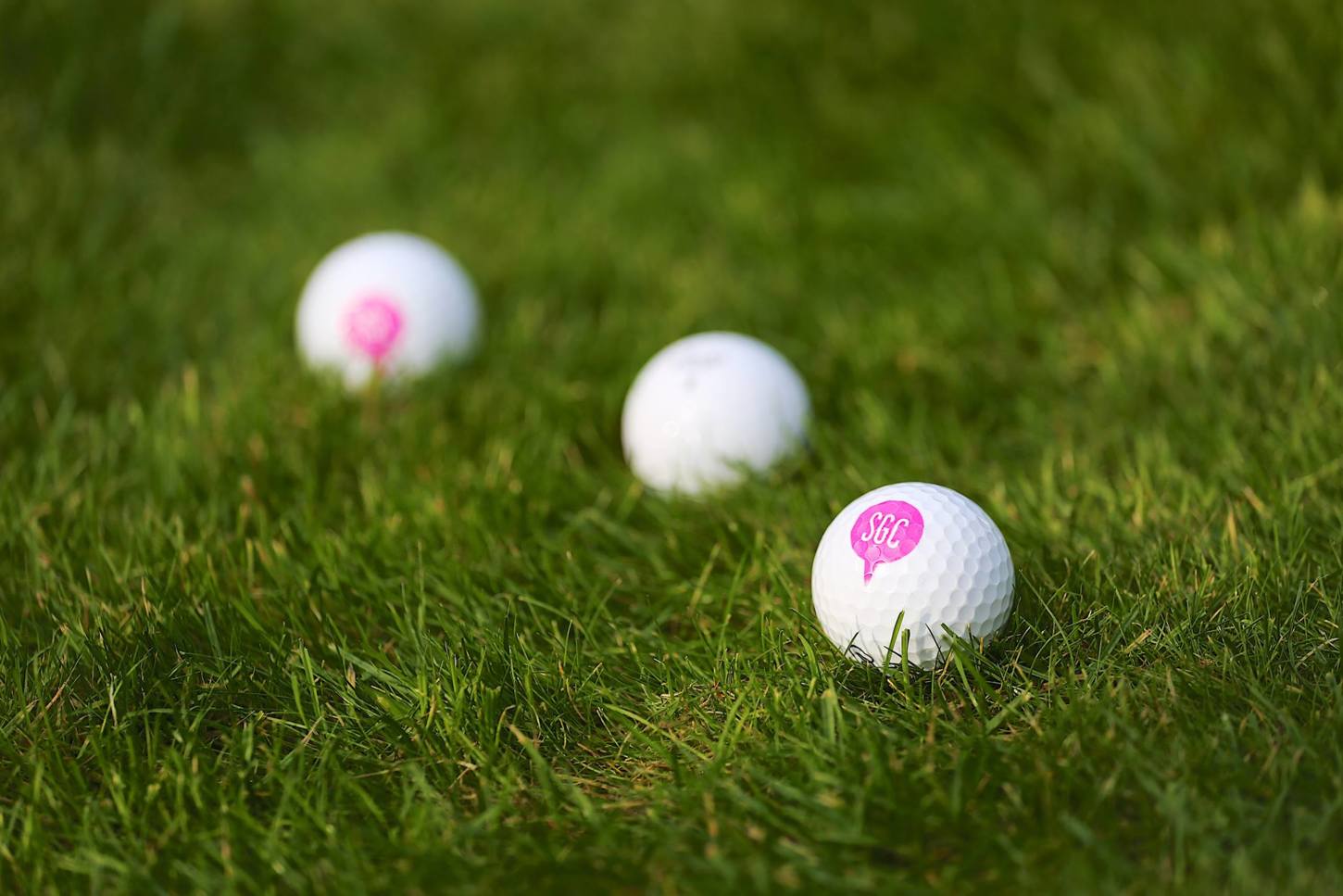 Golf course Synchron-Golf Fleesensee 5155