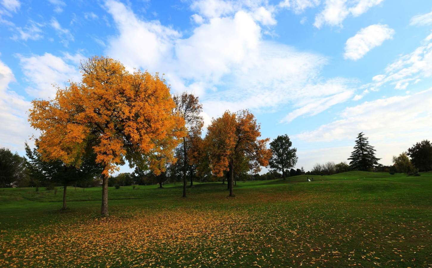 Golf course Golf Club Ca´della Nave 4694