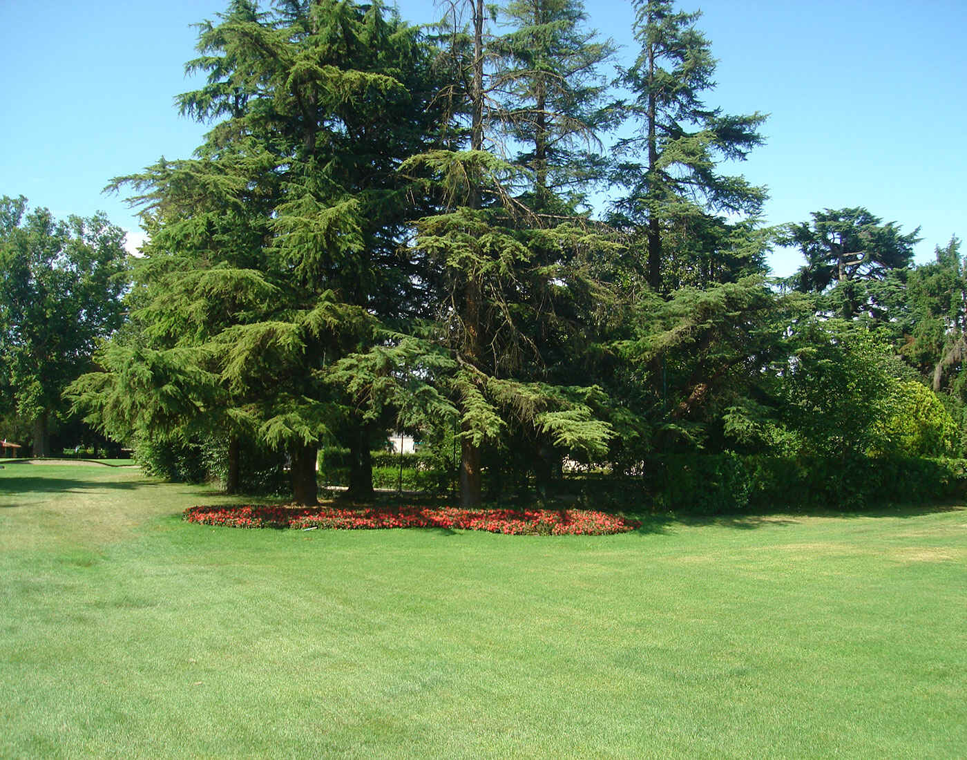 Golf course Golf Club Villa Condulmer 1526