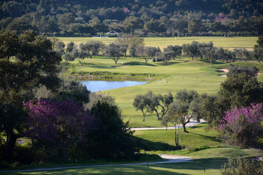 Golf course Argentario Golf Club 4152
