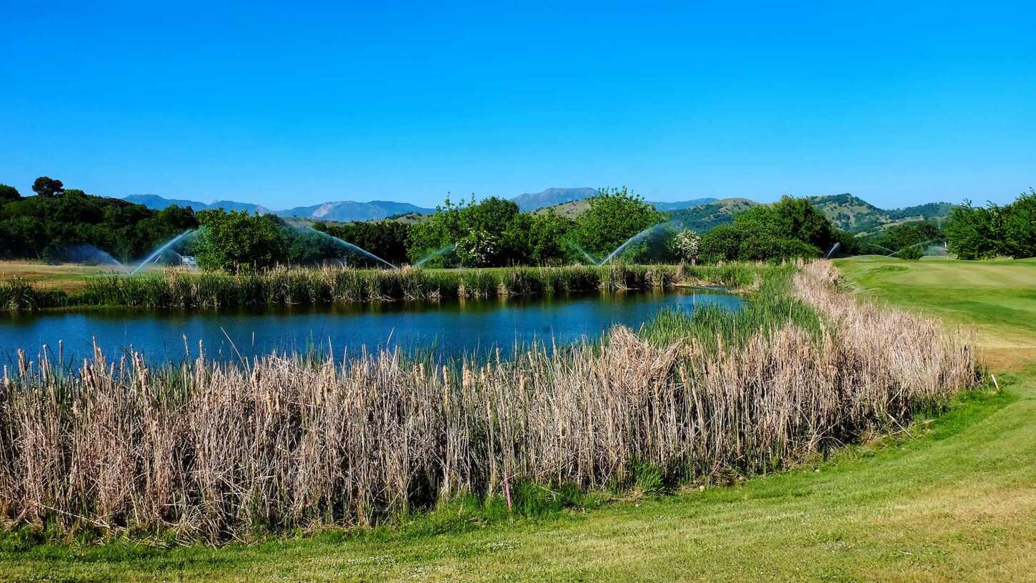 Golf course Il Sicilia’s Picciolo Etna Golf 4094