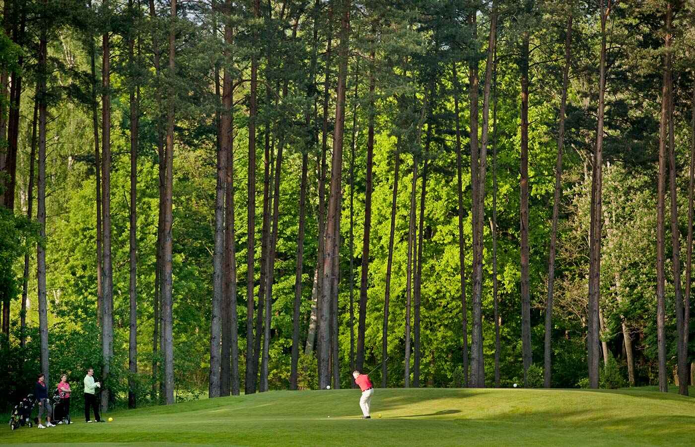 Golf course Arnold Palmer Golfplatz 2832