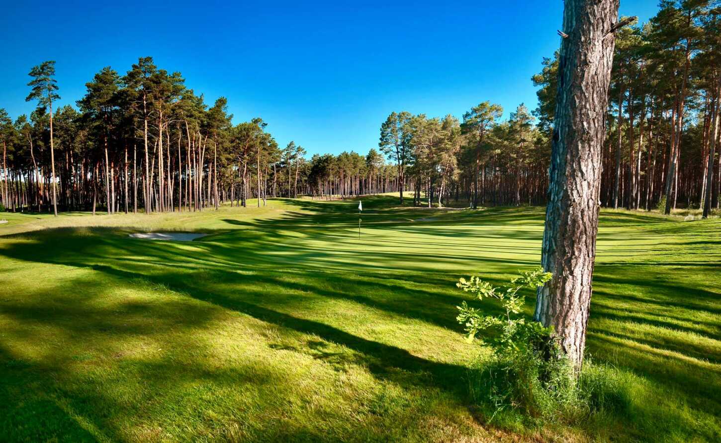 Golf course Berliner Golf & Country Club Motzener See 2838