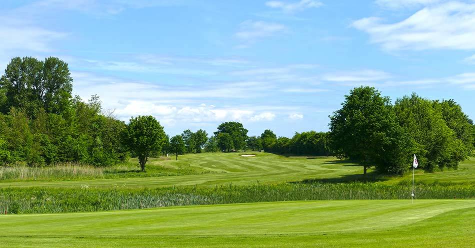 Golf course Maritim Golfclub Ostsee e.V. 4499
