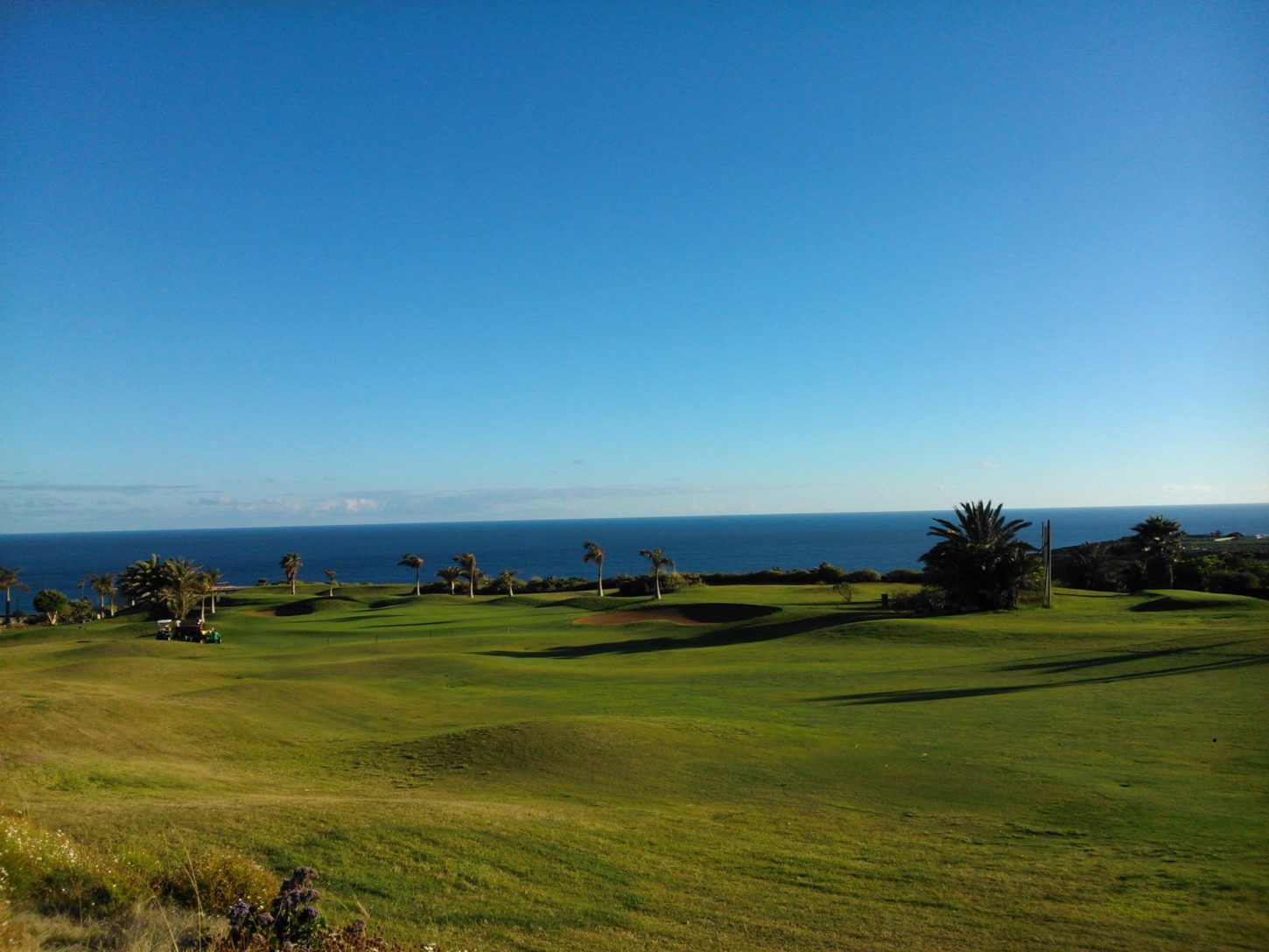 Golf course Buenavista Golf 5596