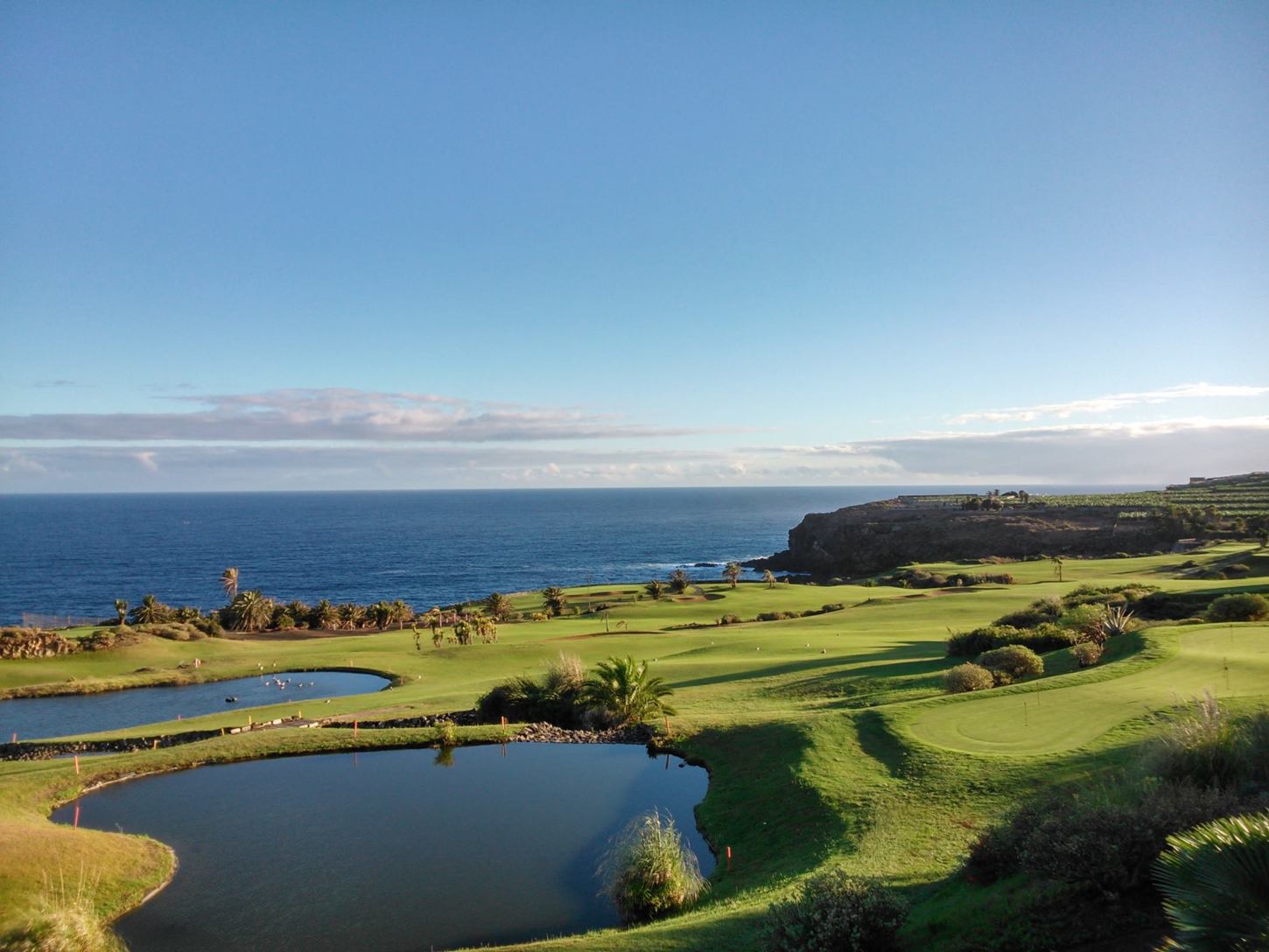 Golf course Buenavista Golf 5599