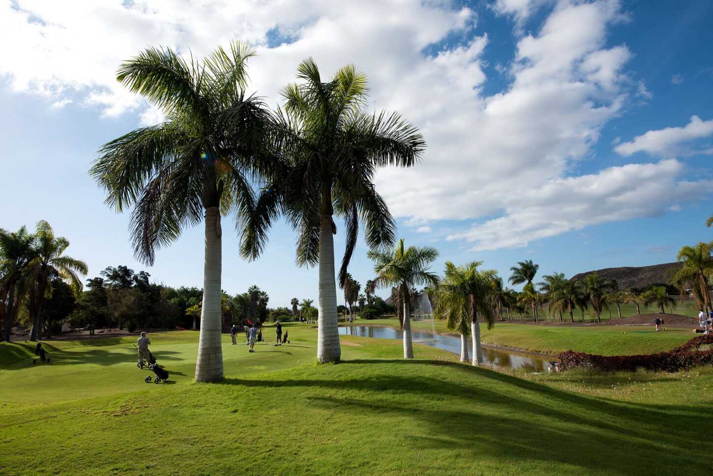 Golf course Los Palos Golf 5614