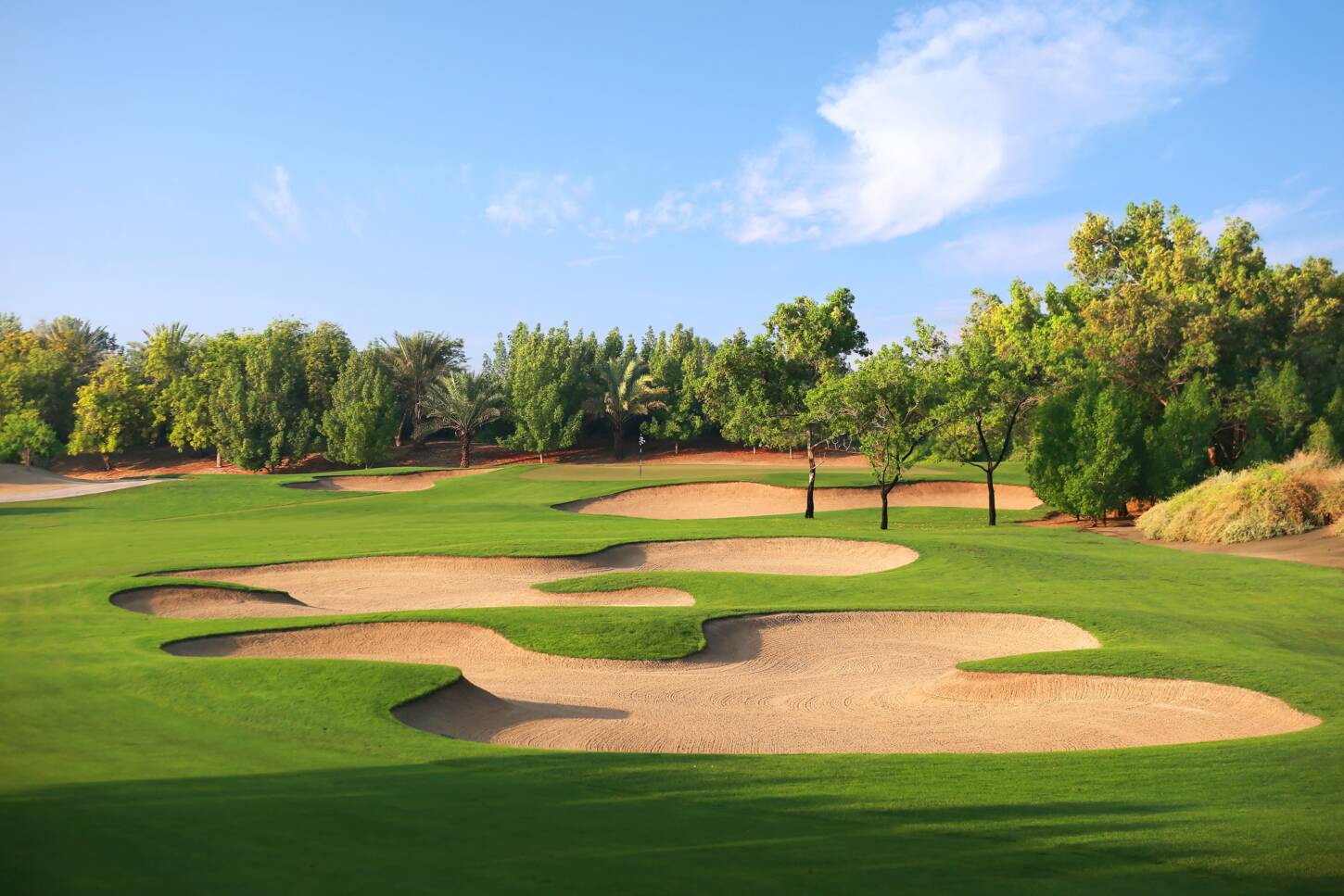 Golf course Abu Dhabi Golf Club 3550