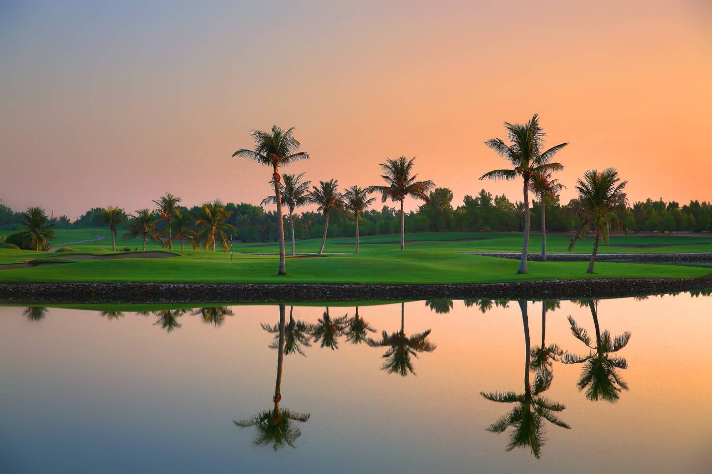 Golf course Abu Dhabi Golf Club 3553