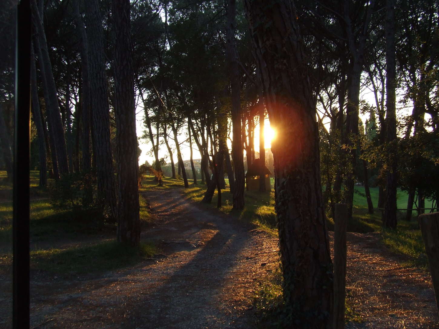 Golf course Golf Club Ugolino 2236