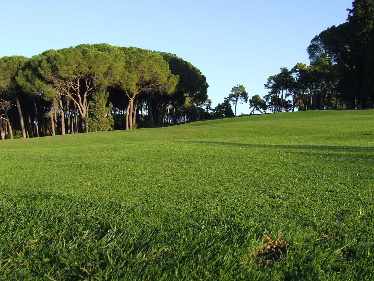 Golf course Golf Club Ugolino 2234
