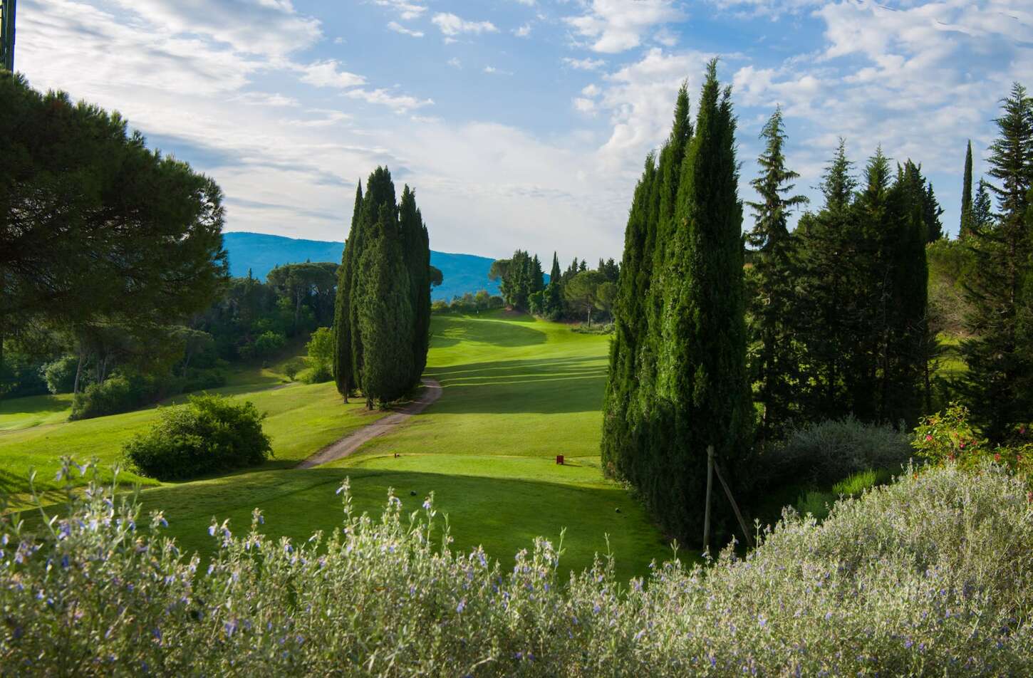 Golf course Golf Club Ugolino 4294