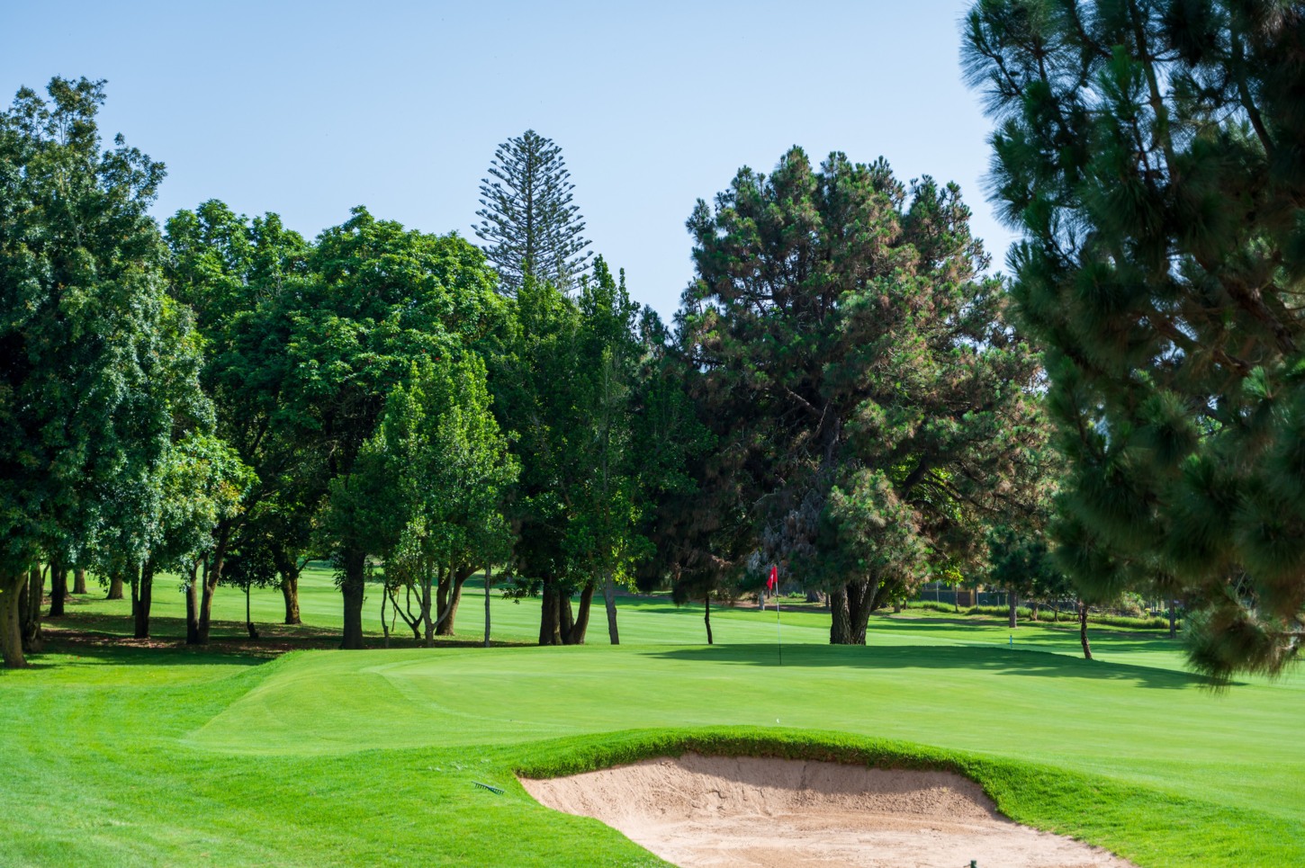Golf course Real Club de Golf Tenerife 10083