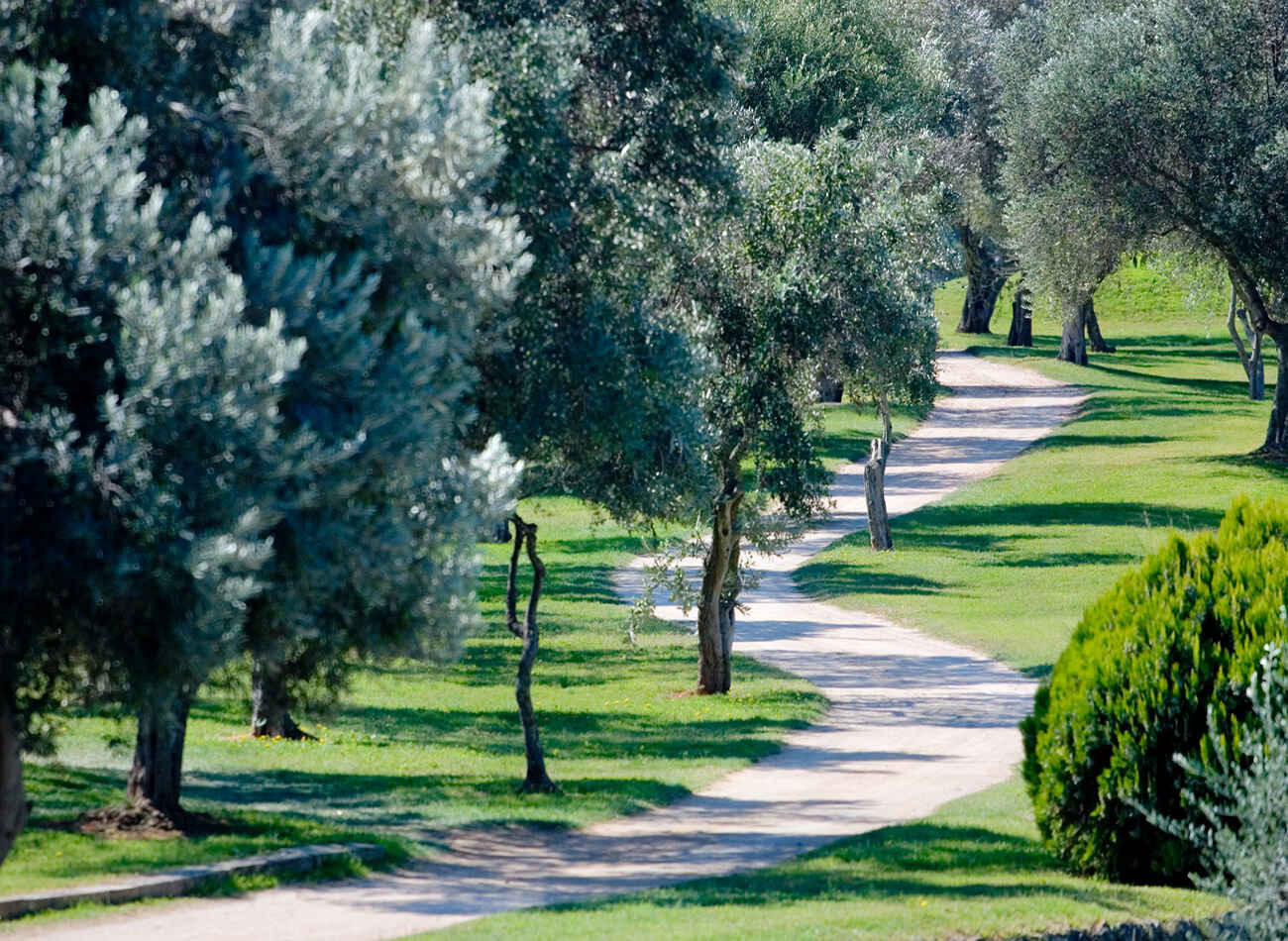 Golf course La Sella Golf 2271