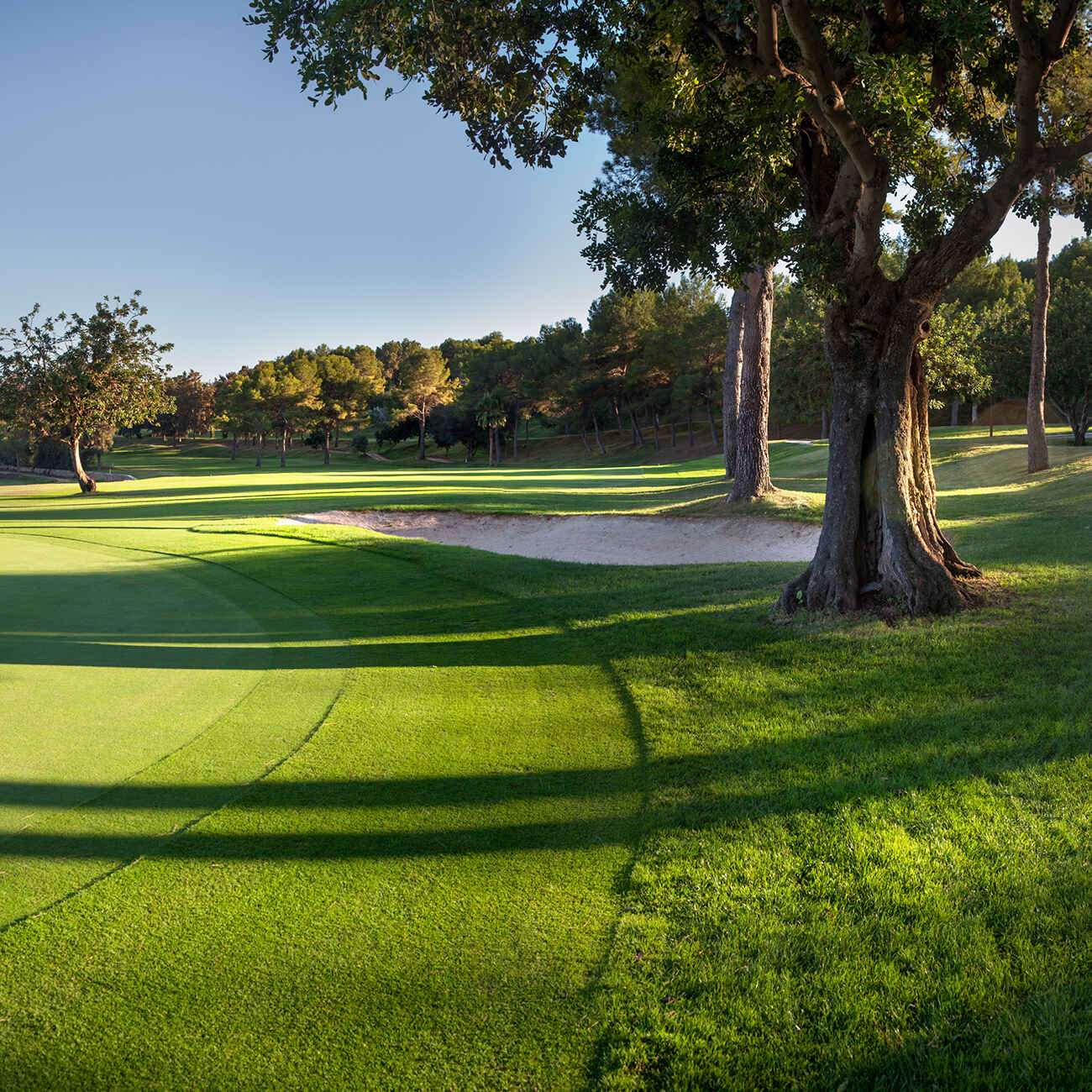 Golf course La Sella Golf 2275